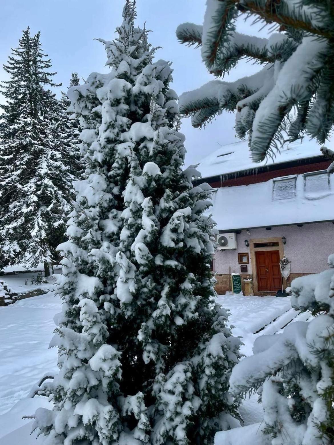 Penzion Tadeasovy Domky Hajnice Exterior foto